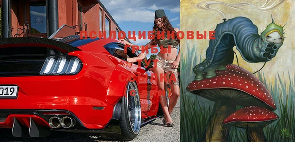 гидра Абинск