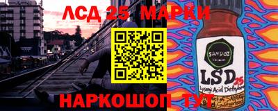 сатива Камышлов