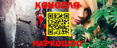 гашик Канаш
