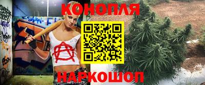 сатива Камышлов