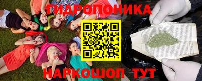 гашик Канаш
