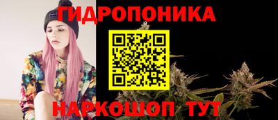 гашик Канаш
