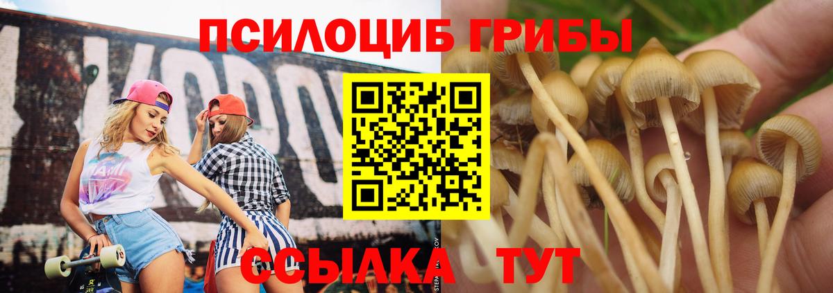 Мурино  Галлюциногенные грибы Psilocybine cubensis  Вход с VPN 