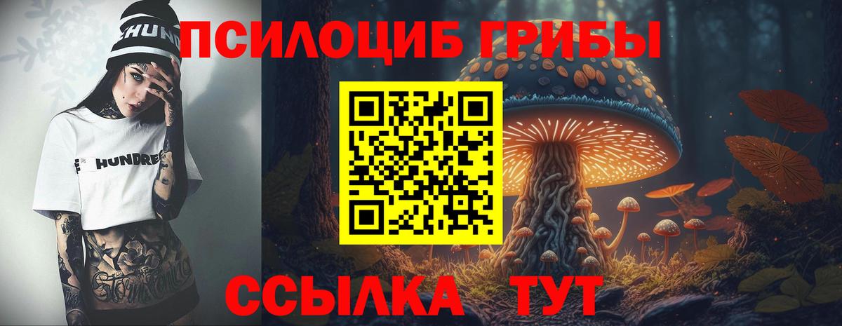 Псилоцибиновые грибы Psilocybe Мурино